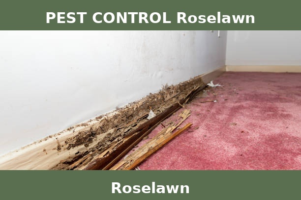 PEST CONTROL Roselawn